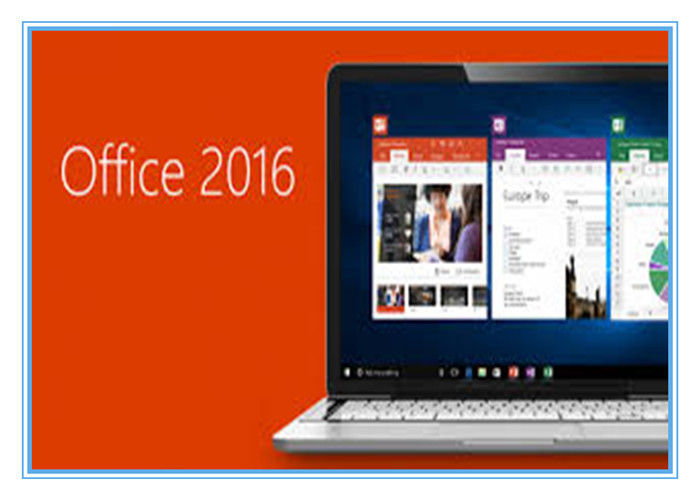 Office Professional più la chiave 2016 del prodotto per Windows 1 utente/1PC con il Usb 3,0
