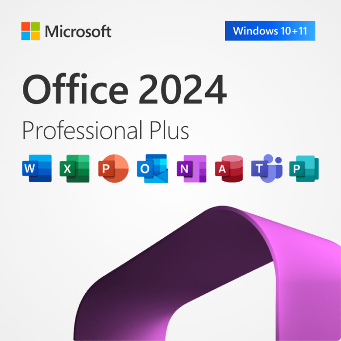 Aggiorna il tuo Office con Microsoft Office 2024 Professional Plus Digital Key per PC o Mac