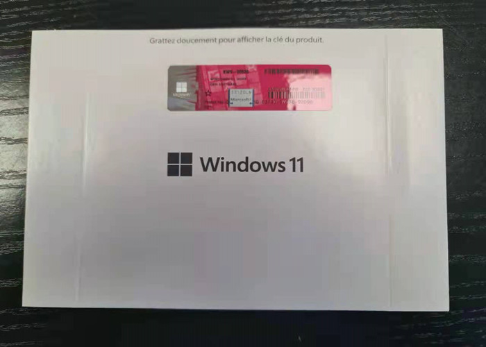 Versione domestica della licenza 21H2 della chiave a tubo dell'OEM di DVD di KW9-00636 UEFI Microsoft Windows 11